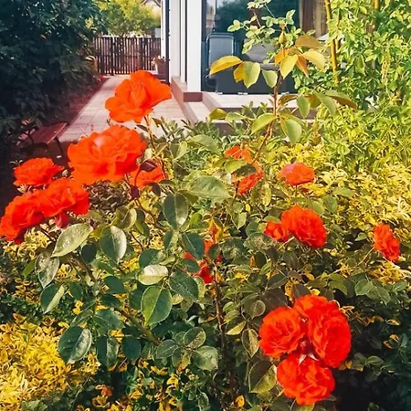 Dom Ivet Βίλα Γκντανσκ