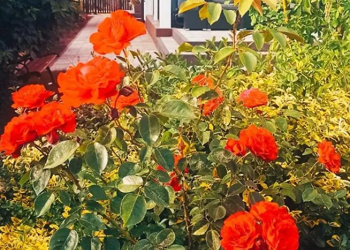 Dom Ivet Βίλα Γκντανσκ